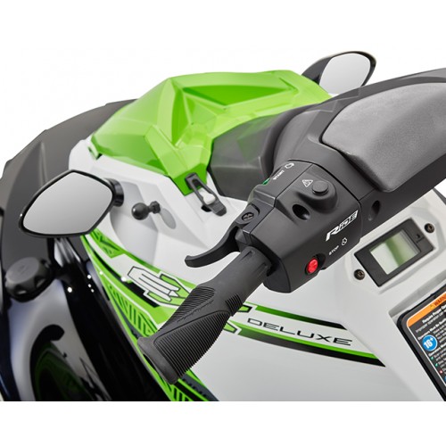 RiDE Dual Control System