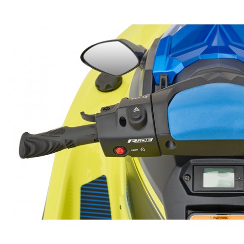 RiDE Dual Control System