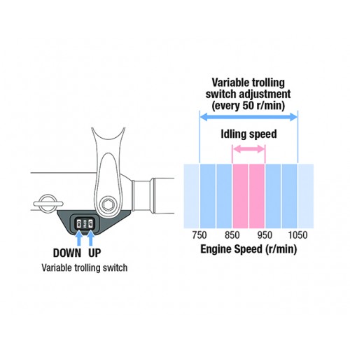 Variable Trolling Control