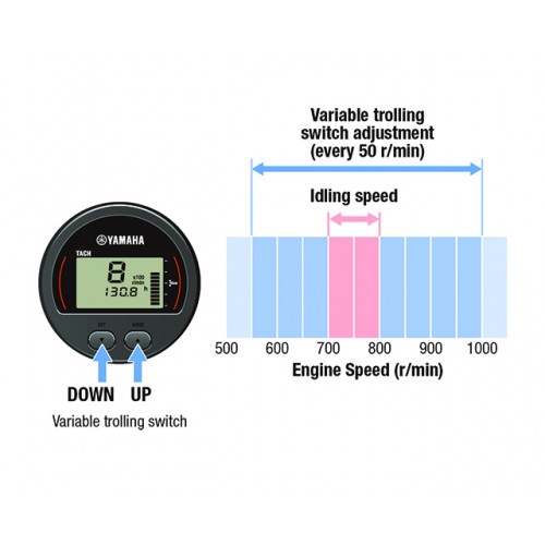 Variable Trolling Control