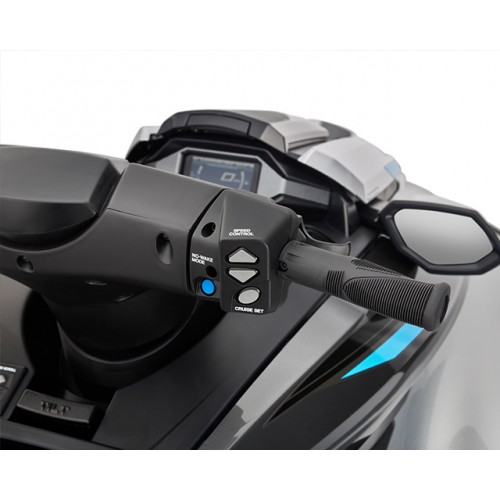 Cruise Assist and No Wake Mode