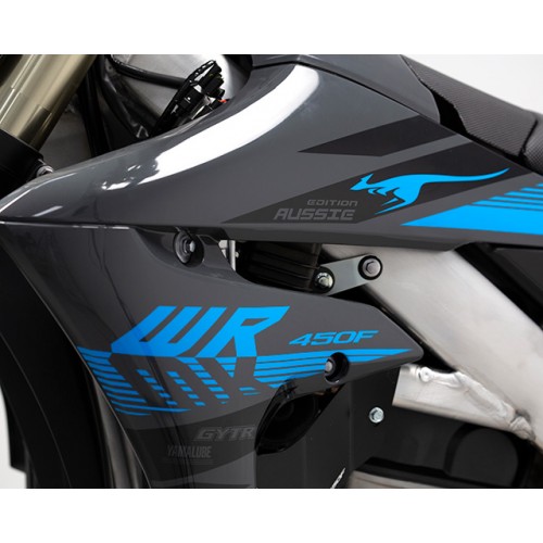 Advanced fuel injection system